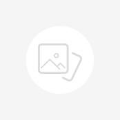 Invertor 
