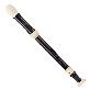 full image alto recorder