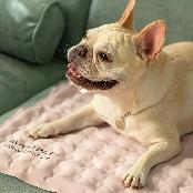 AVANTPET Eco cooling mat for pets - simple design