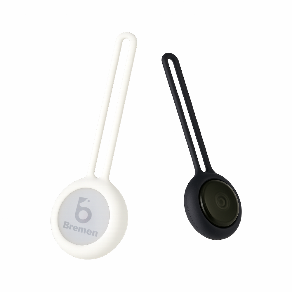 Bremen Pet-Tag :  BLE-based smart tracking