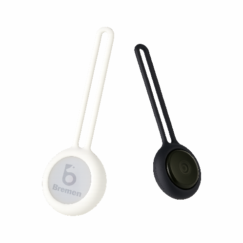 Bremen Pet-Tag :  BLE-based smart tracking