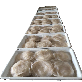 detail image1 SALTED JELLYFISH