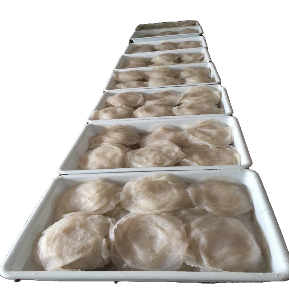 SALTED JELLYFISH