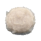full image SALTED JELLYFISH