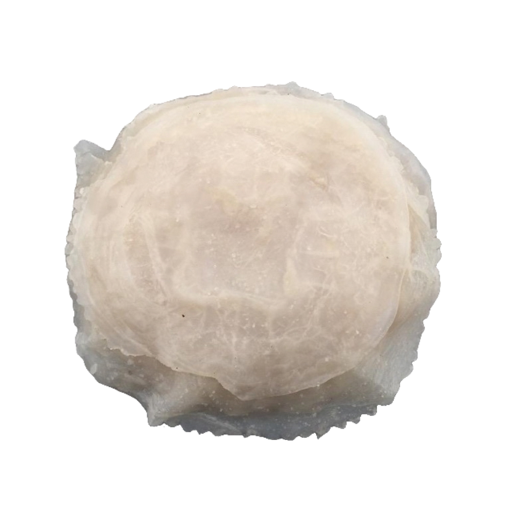 SALTED JELLYFISH