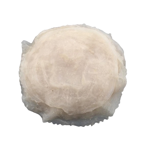 SALTED JELLYFISH