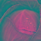 full image cabbage