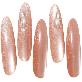 detail image3 LAGELAVU Nutrient Soft Nail Tip