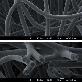 full image PP & BICOMPONENT STAPLE FIBER