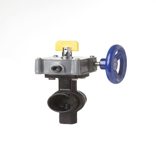Grooved Type Butterfly Valve