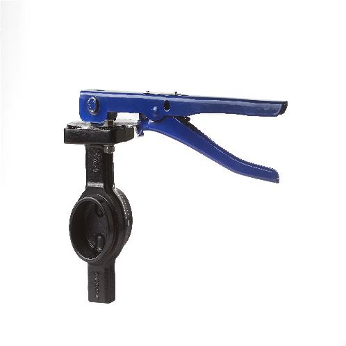 Grooved Type Butterfly Valve