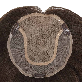 detail image2 Non-Surgical Hair Replacement for WOMAN Hairpieces to Medical Cranial Prosthesis,  Fashion wig and